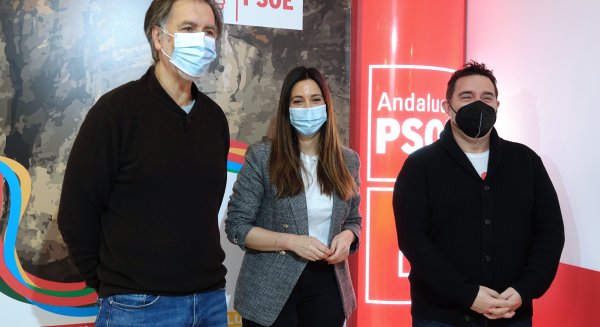 PSOE pide al PP de Feijoo y Bendodo 