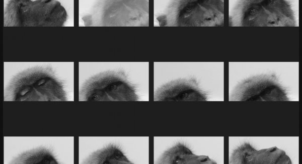 El Centro Andaluz de la Fotografía inicia en Málaga el primer taller ‘De la afición a la creación’
