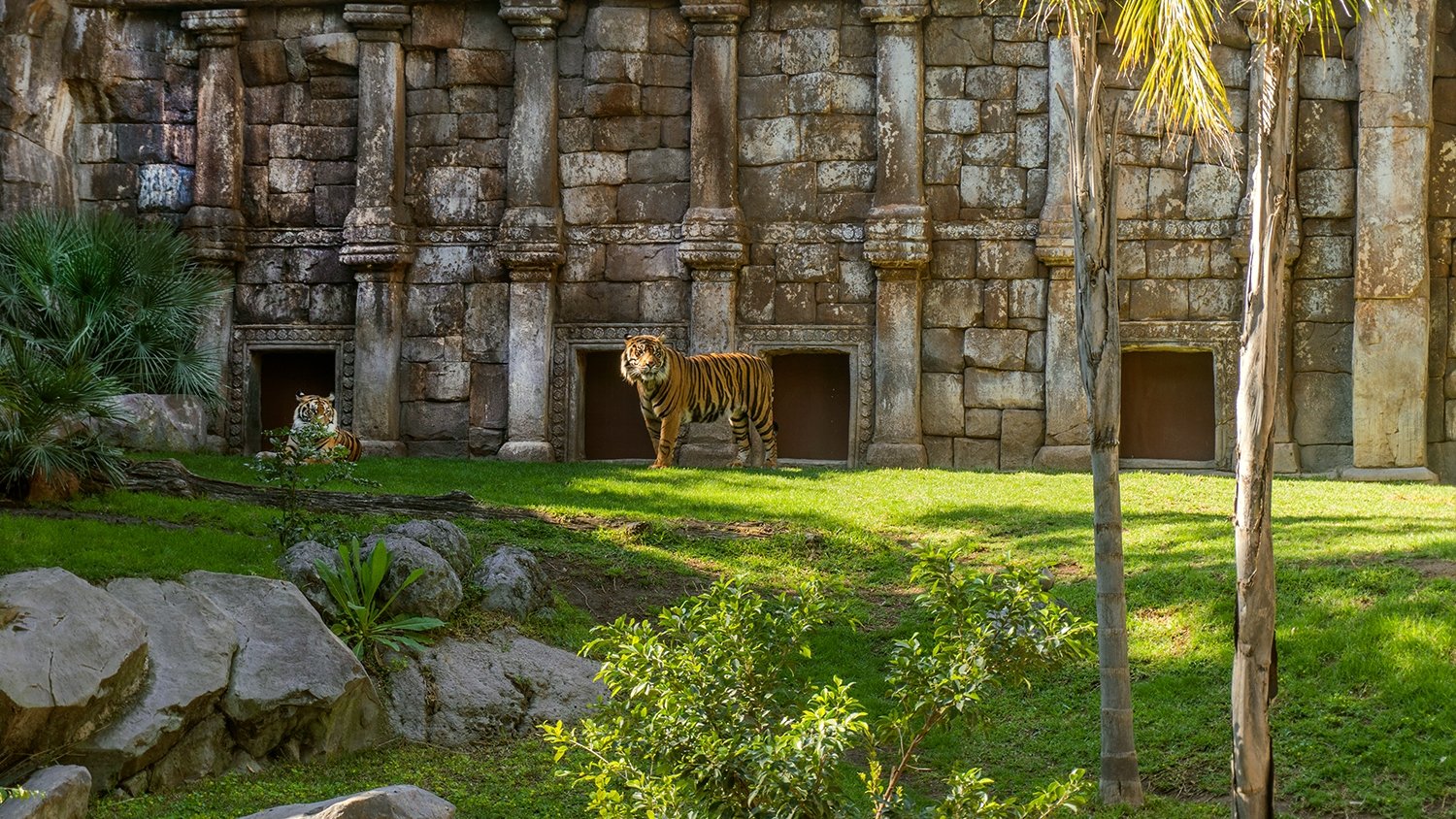 Bioparc Fuengirola da la bienvenida al mes de abril con una programación de nuevas actividades