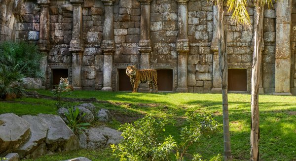 Bioparc Fuengirola da la bienvenida al mes de abril con una programación de nuevas actividades