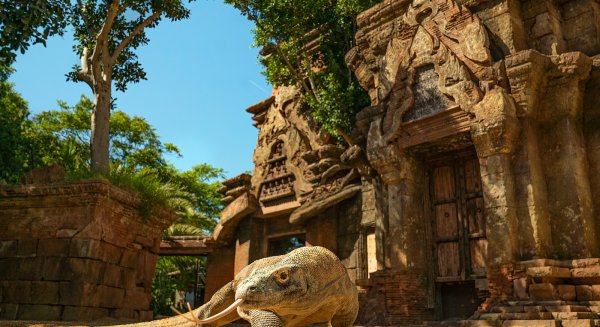 Bioparc se convierte en el protagonista de la docu-serie 'Crónicas del zoo'