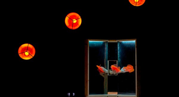 El Teatro Cánovas abre “ventanas” a la imaginación con el nuevo espectáculo de Teatro Paraíso