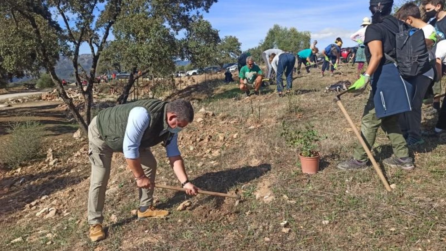 Diputación planta más de 1.600 árboles en Villanueva de Algaidas, Riogordo y Alfarnatejo