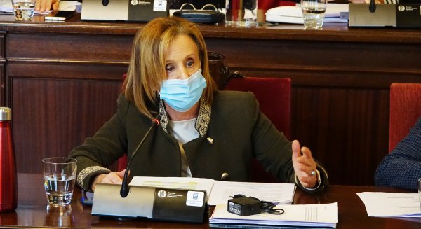 El Pleno del Ayuntamiento pide a instancias del PSOE apartar a Medel de sus funciones en Unicaja