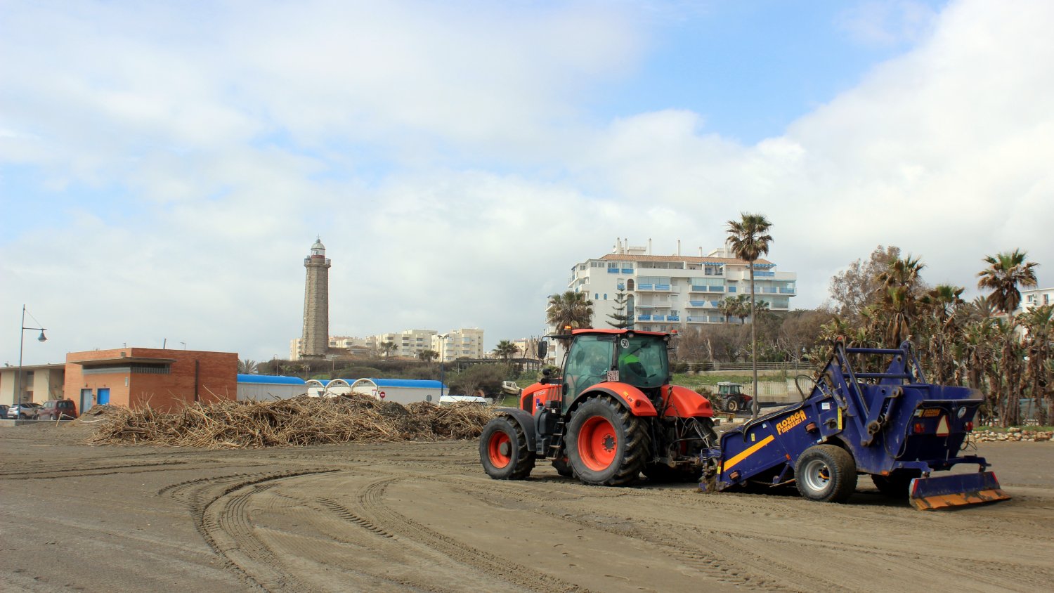 Estepona intensifica la limpieza en las playas tras retirar más de 2.200 metros cúbicos de cañas