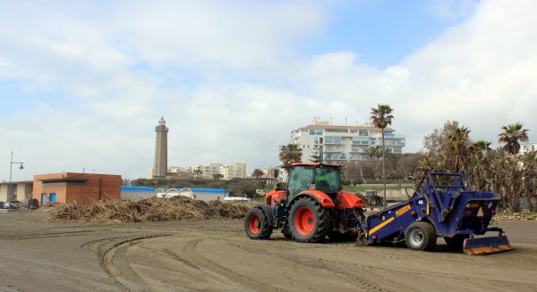 Estepona intensifica la limpieza en las playas tras retirar más de 2.200 metros cúbicos de cañas