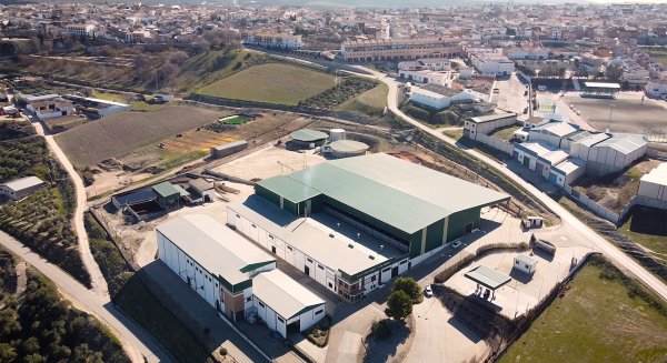 Interóleo Picual logra su récord al comercializar 68.000 toneladas de aceite
