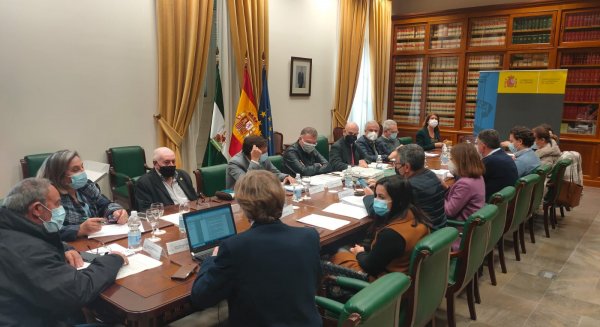 La Fundación Cueva de Nerja aprueba por unanimidad el presupuesto para 2022