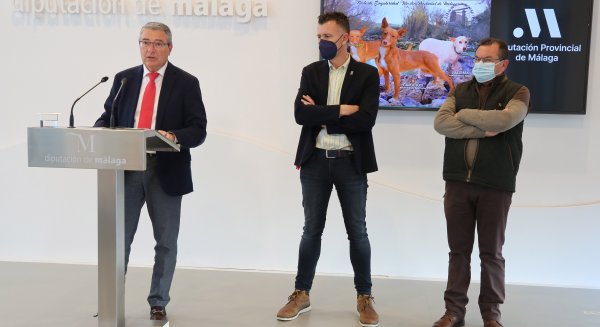 Cuevas de San Marcos celebra la XV Monográfica del Podenco Andaluz y Maneto