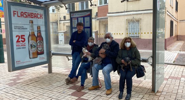 Unidas Podemos propone una regulación para que las mascotas puedan acceder al transporte público