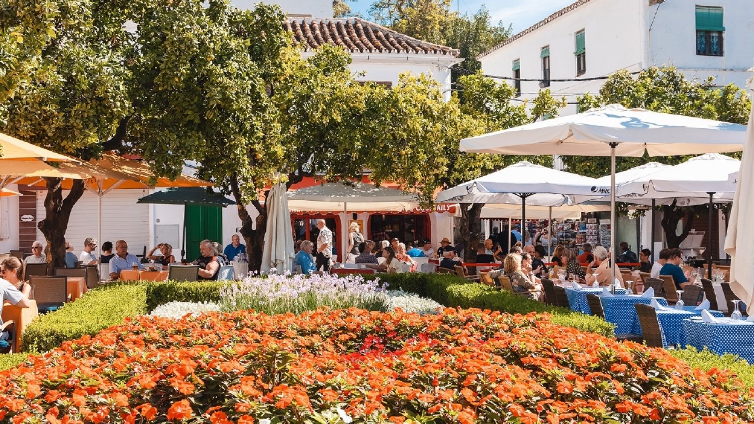 Unidas Podemos critica las actuaciones de “despilfarro” en flores y obras innecesarias